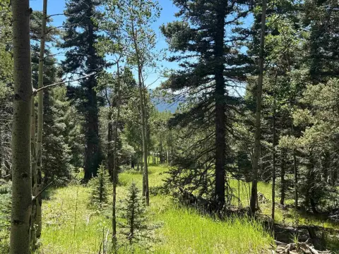 Land in Angel Fire, NM