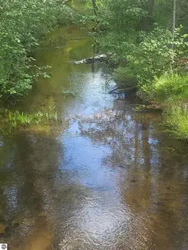 40 Acres of Michigan Wilderness