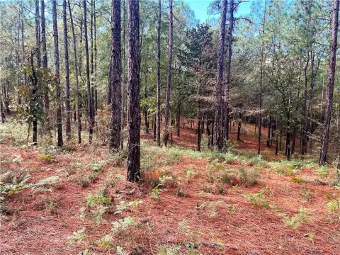 Estate Sized Lots in Timber Ridge