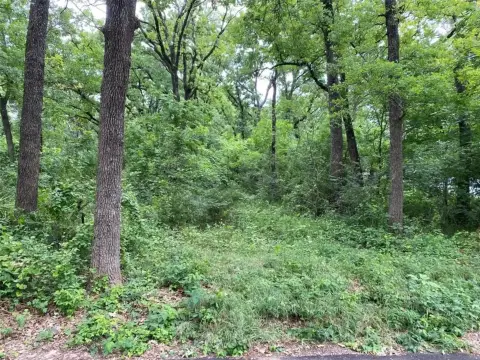 Wooded Lot Near Navarro Mills