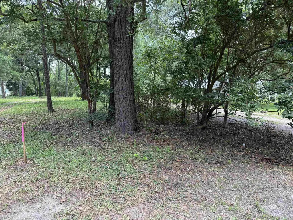 Picture 28
