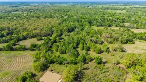 Land for Hunting in Sulphur Bluff