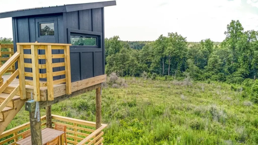 Picture 48
