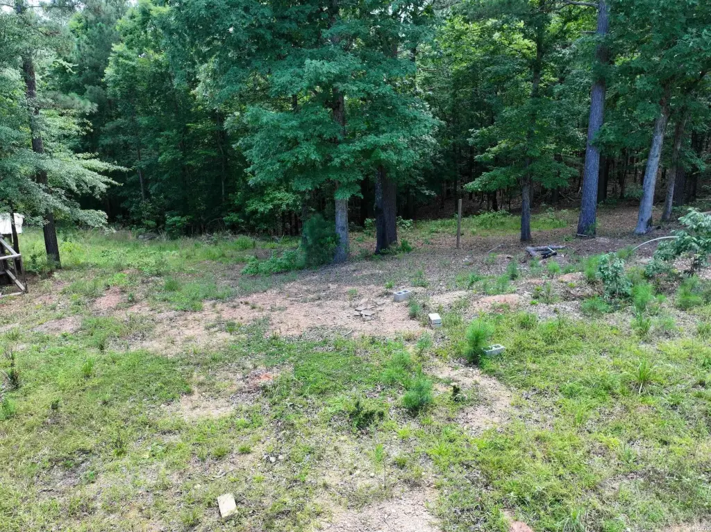 Picture 23
