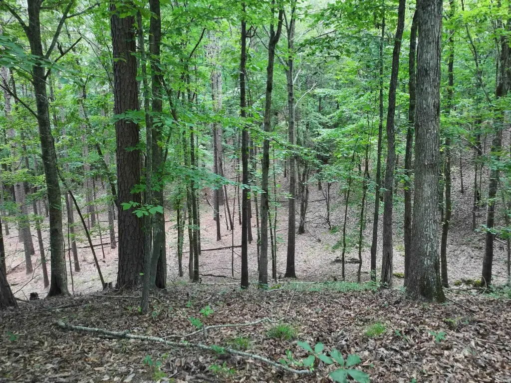 Picture 15