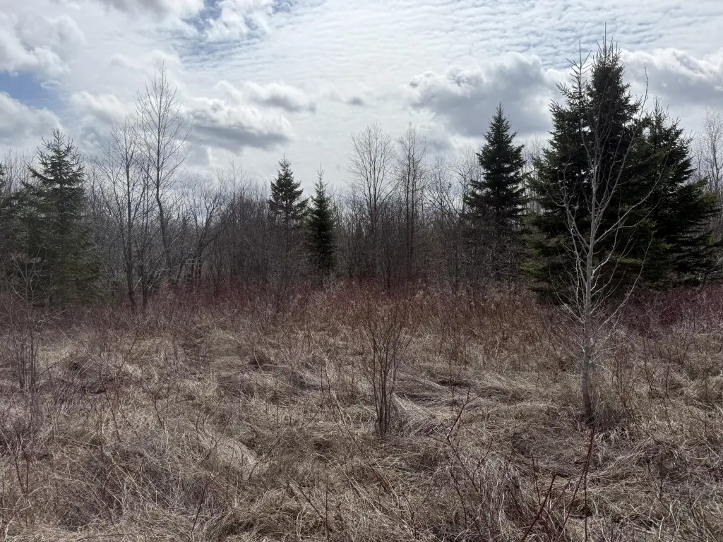 Picture 20