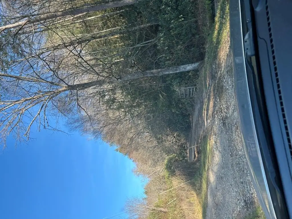 Picture 18