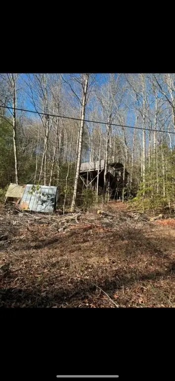 Picture 17