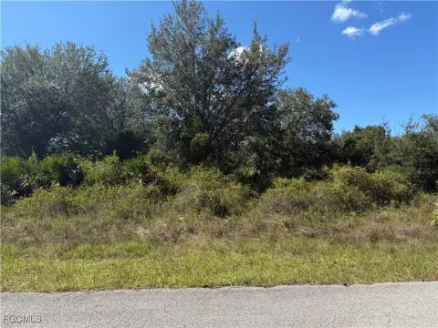 Residential Lot in Lehigh Acres
