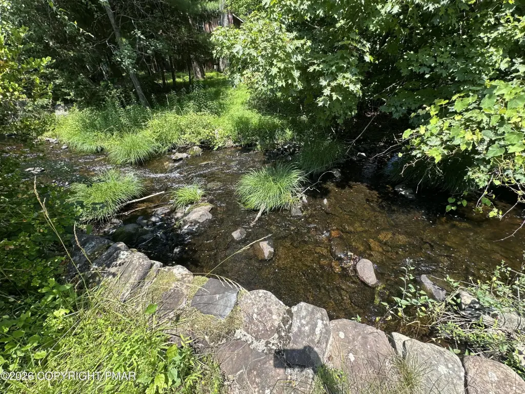Picture 13