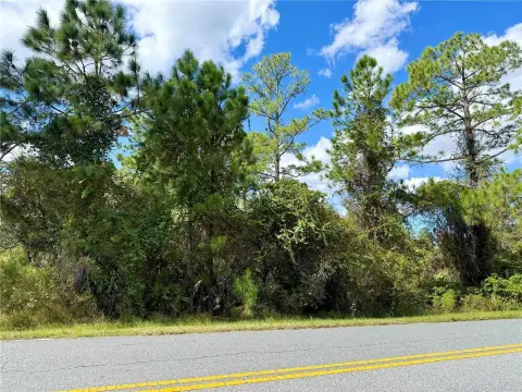 EUSTIS, FL Acreage