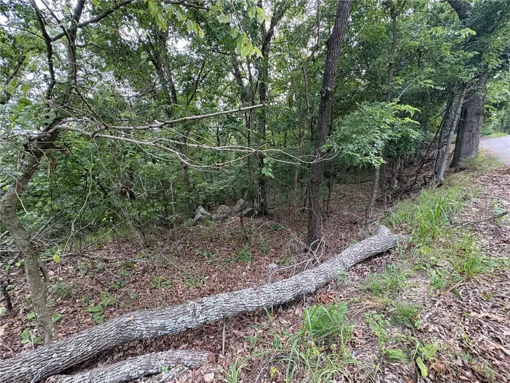 Picture 6