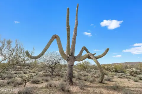 Tucson Land with Mountain Views