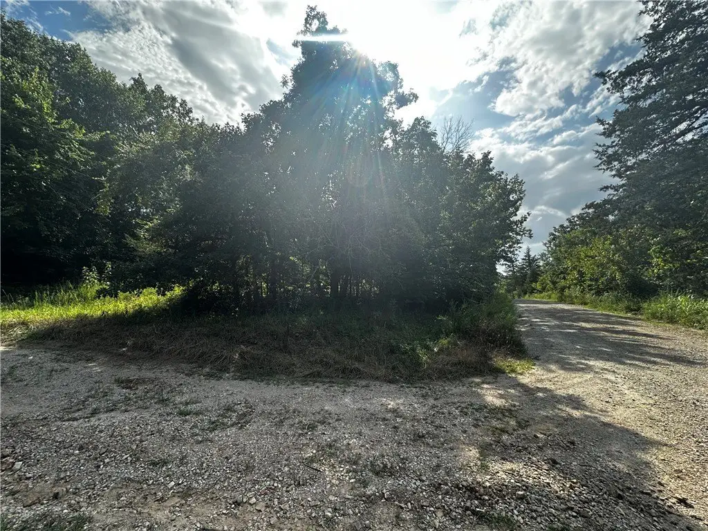 Picture 5