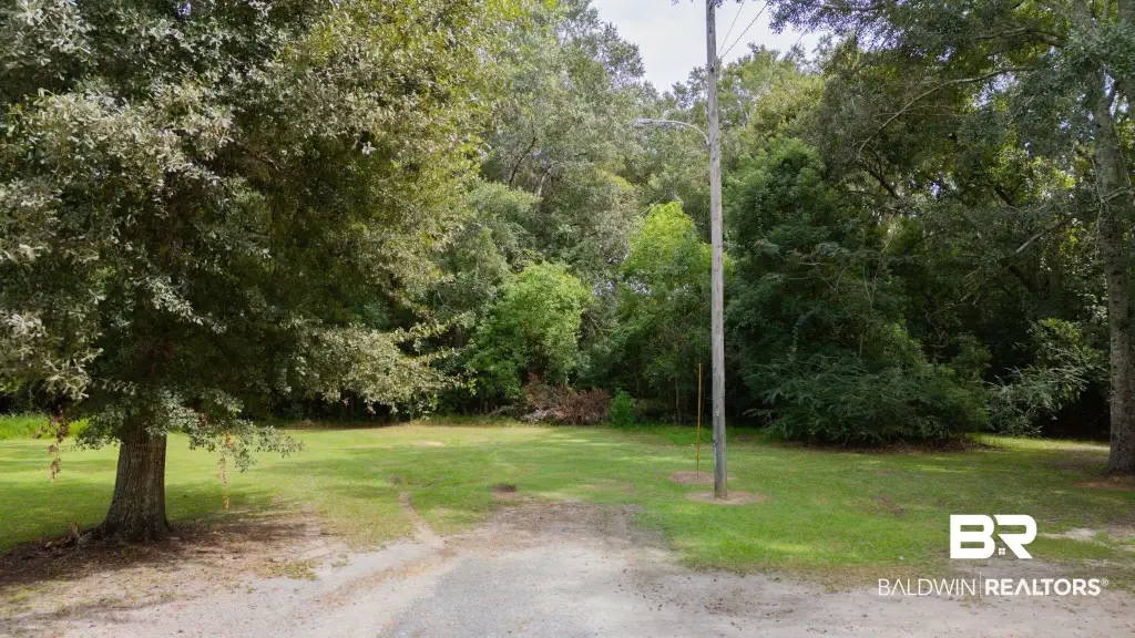 Picture 25