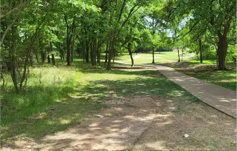 Golf Course Land in Whitney