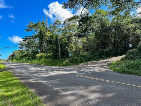 81 Acres Near Pahoa Town