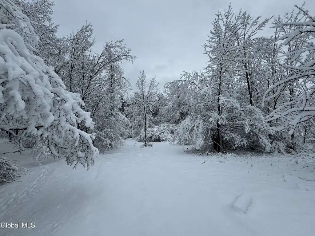Picture 14