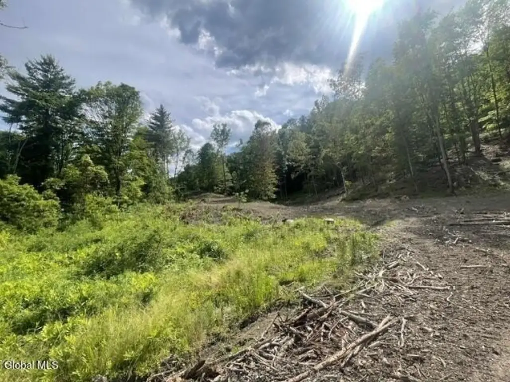 Picture 18