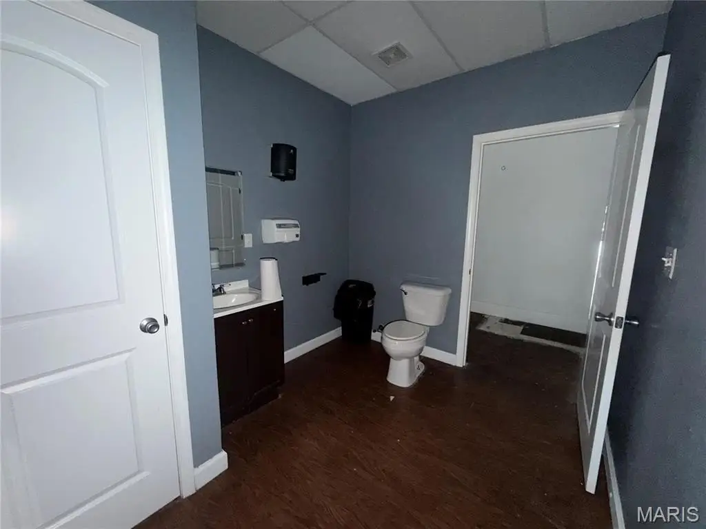 Picture 6