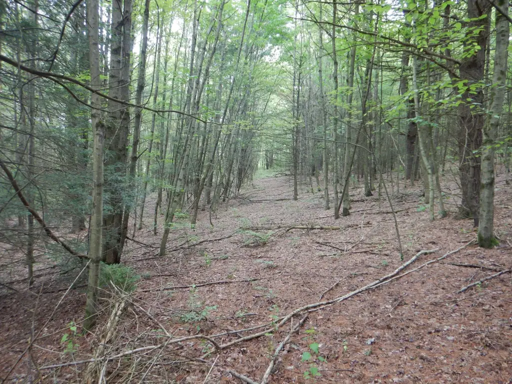 Picture 6