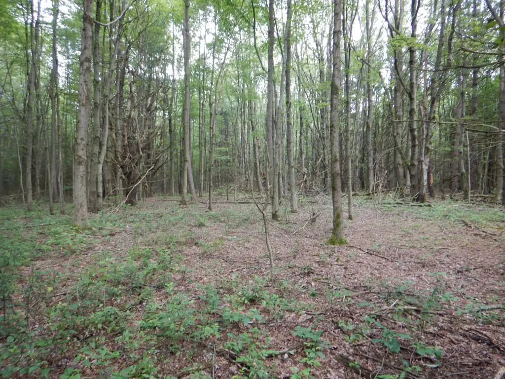 Picture 36