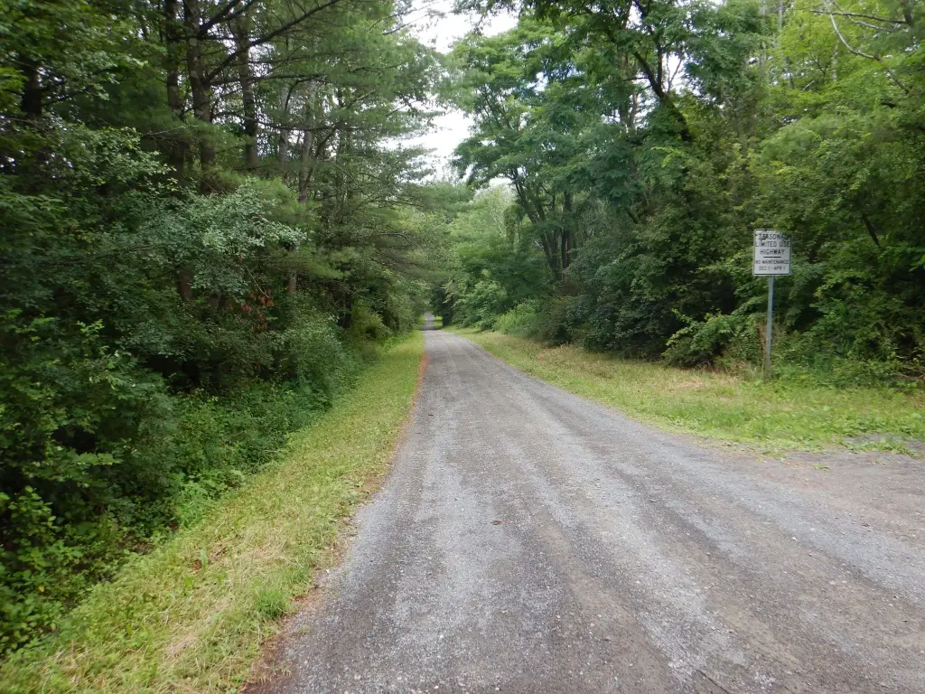 Picture 27