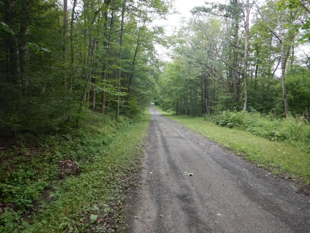 Picture 16