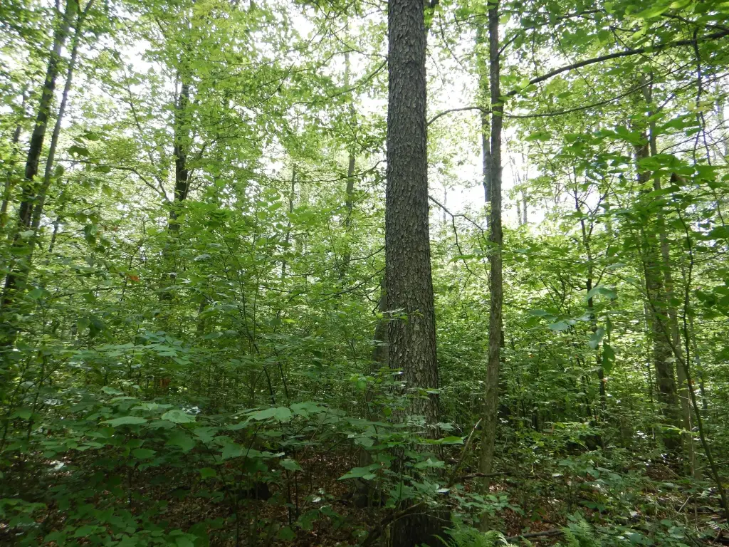 Picture 4
