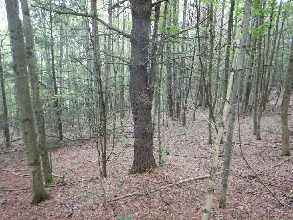 Picture 30