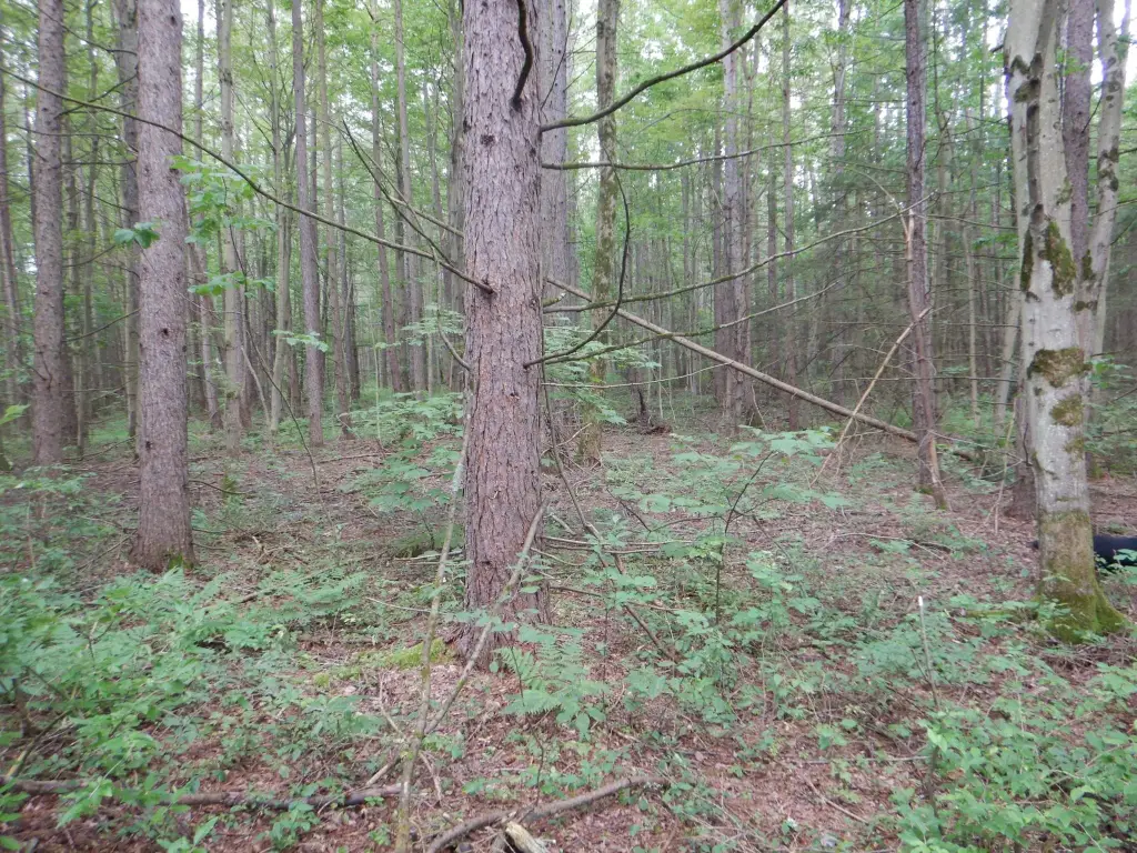 Picture 7
