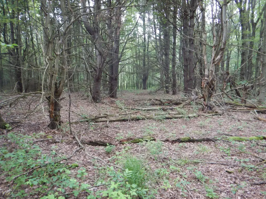 Picture 23