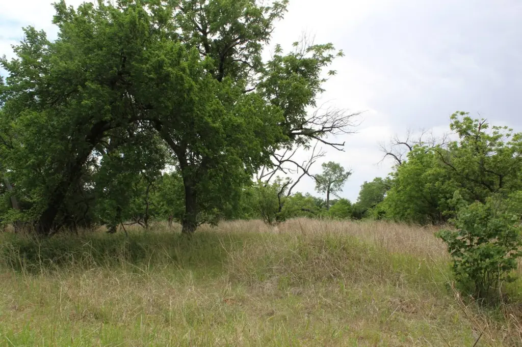 Picture 33
