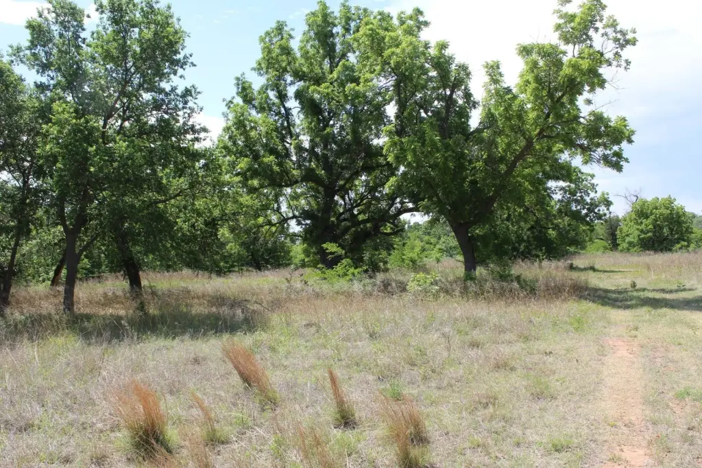 Picture 6