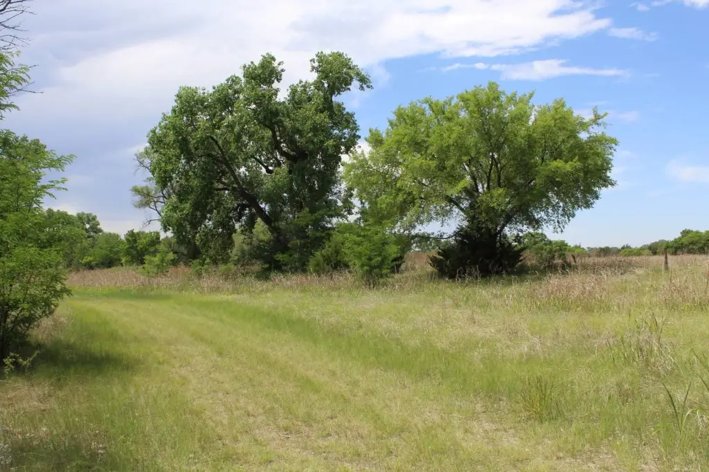 Picture 24