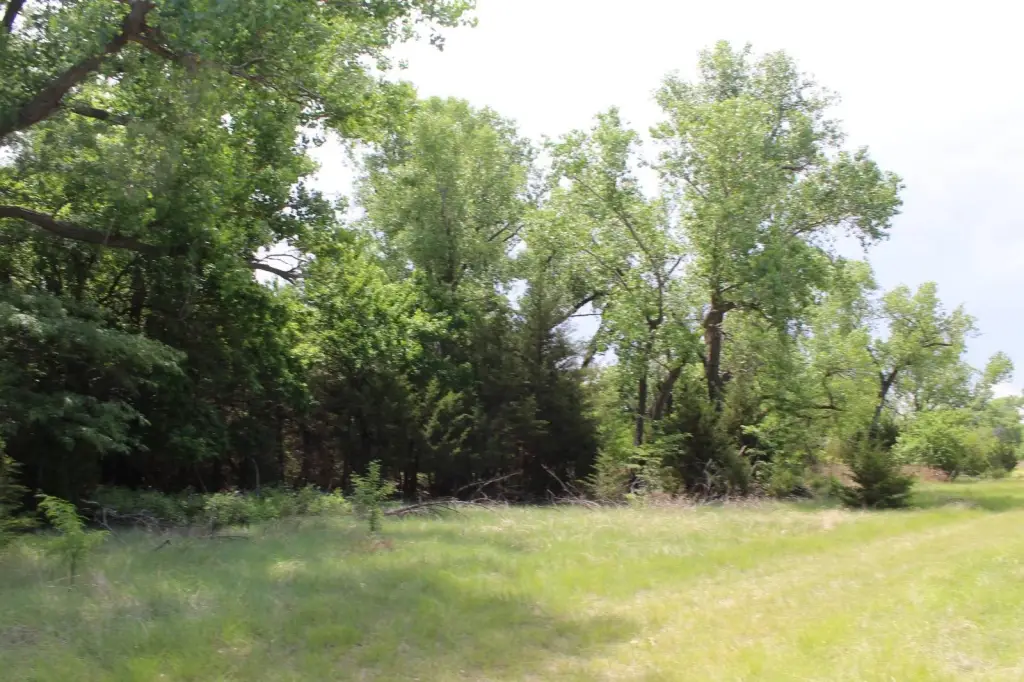 Picture 23