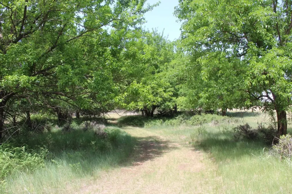 Picture 22