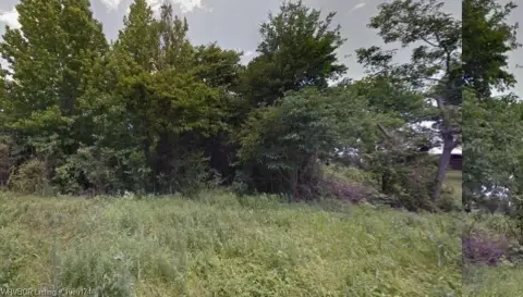 Residential Land in Altheimer, Arkansas