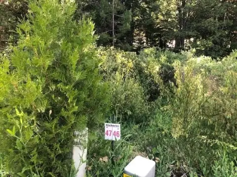 Land in McCloud Meadow Ranch