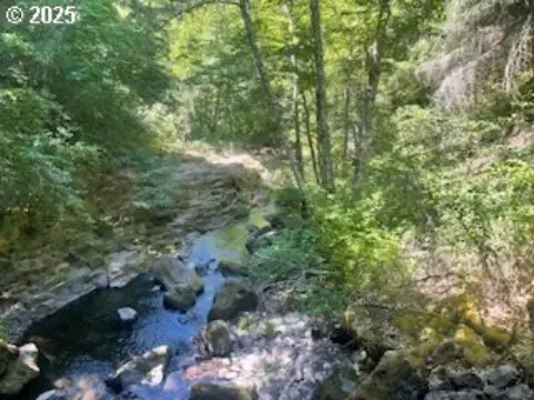 Creekfront Land in White Salmon