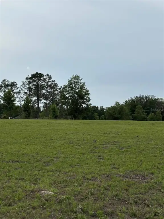 Picture 10