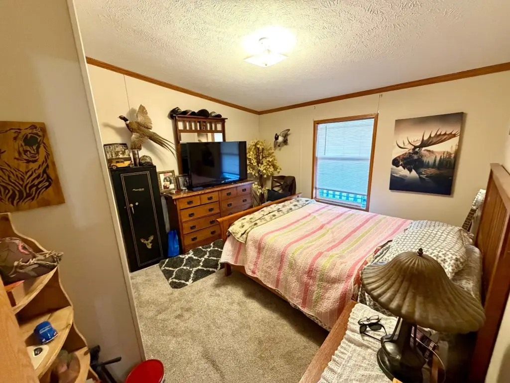 Picture 33