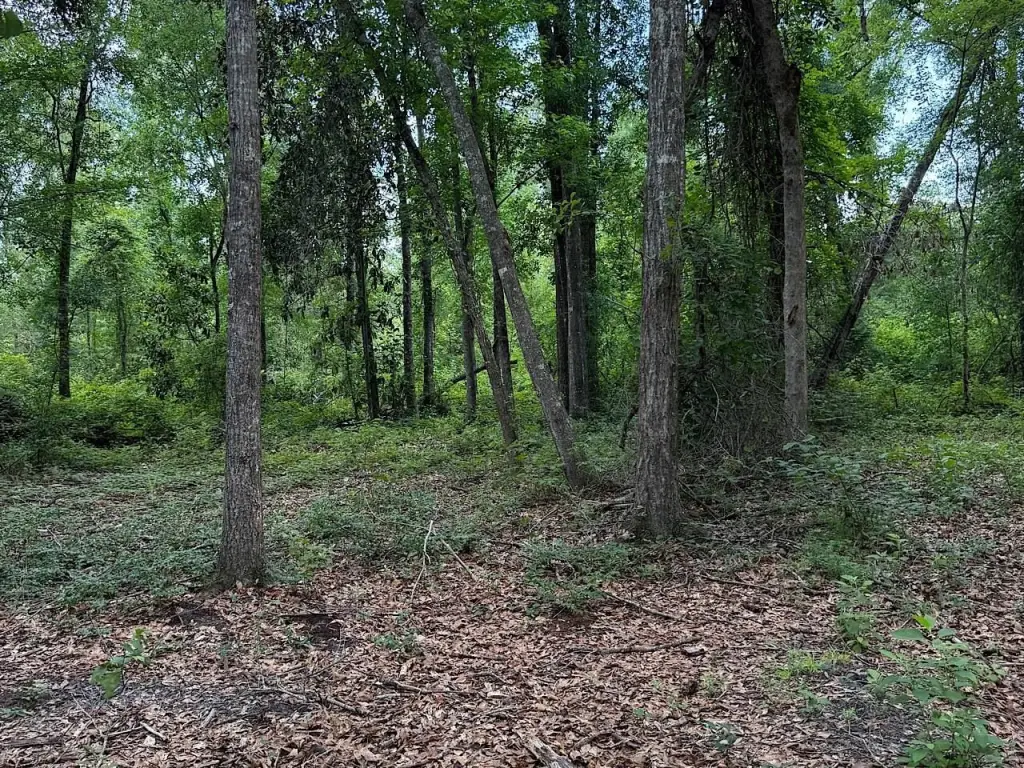 Picture 6