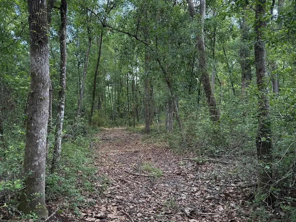 Picture 4