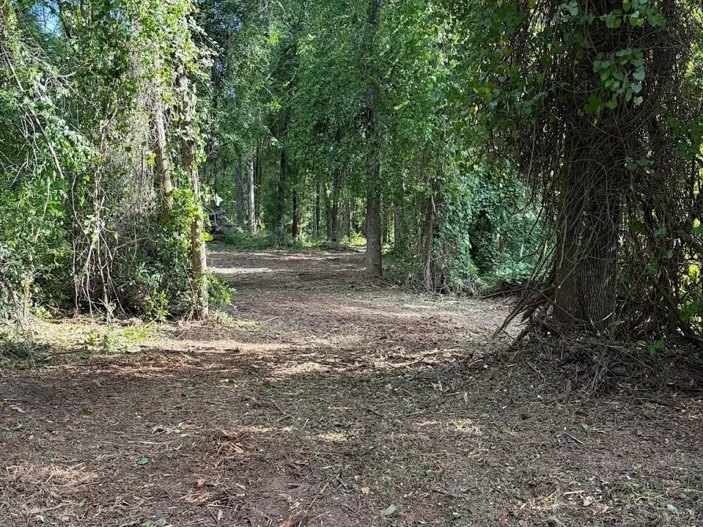 Picture 7