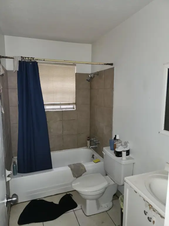 Picture 14