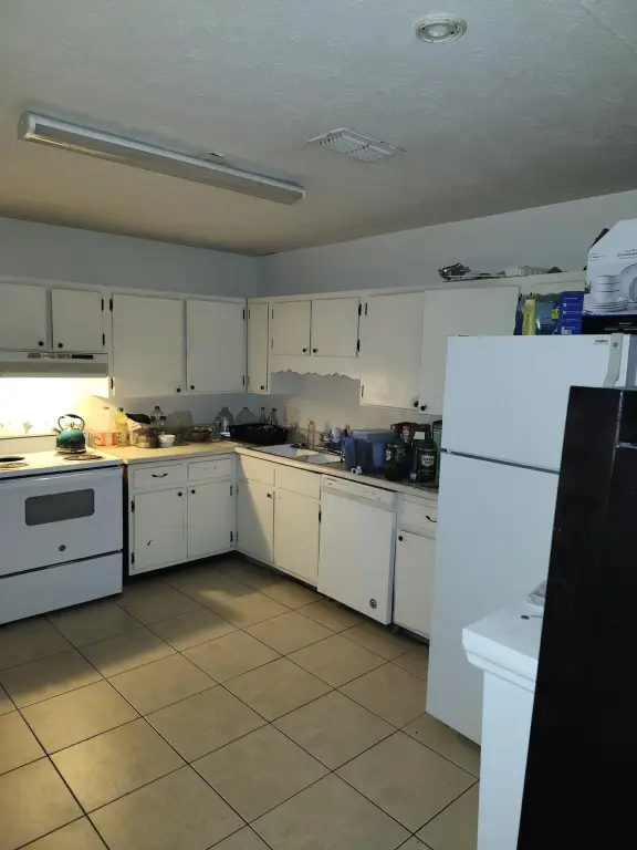 Picture 12