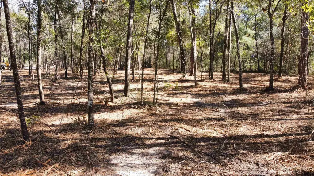 Picture 7