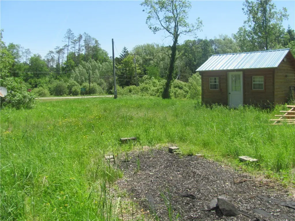 Picture 7