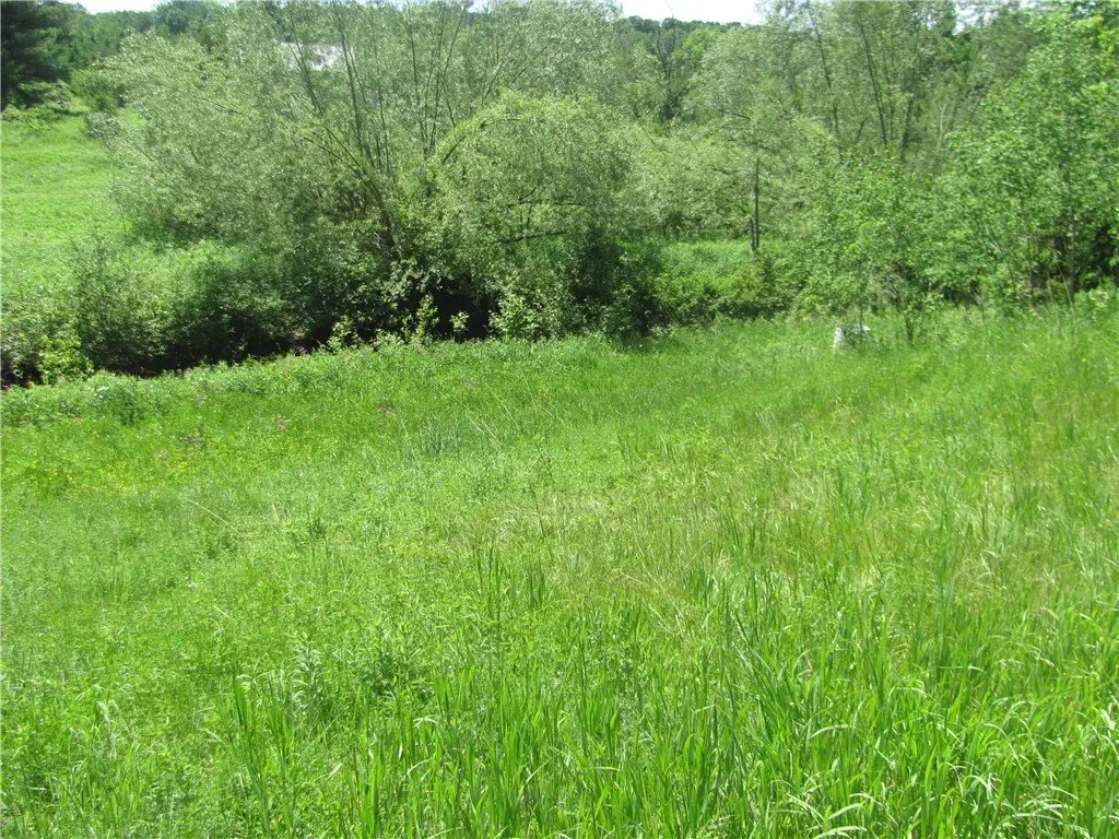 Picture 10